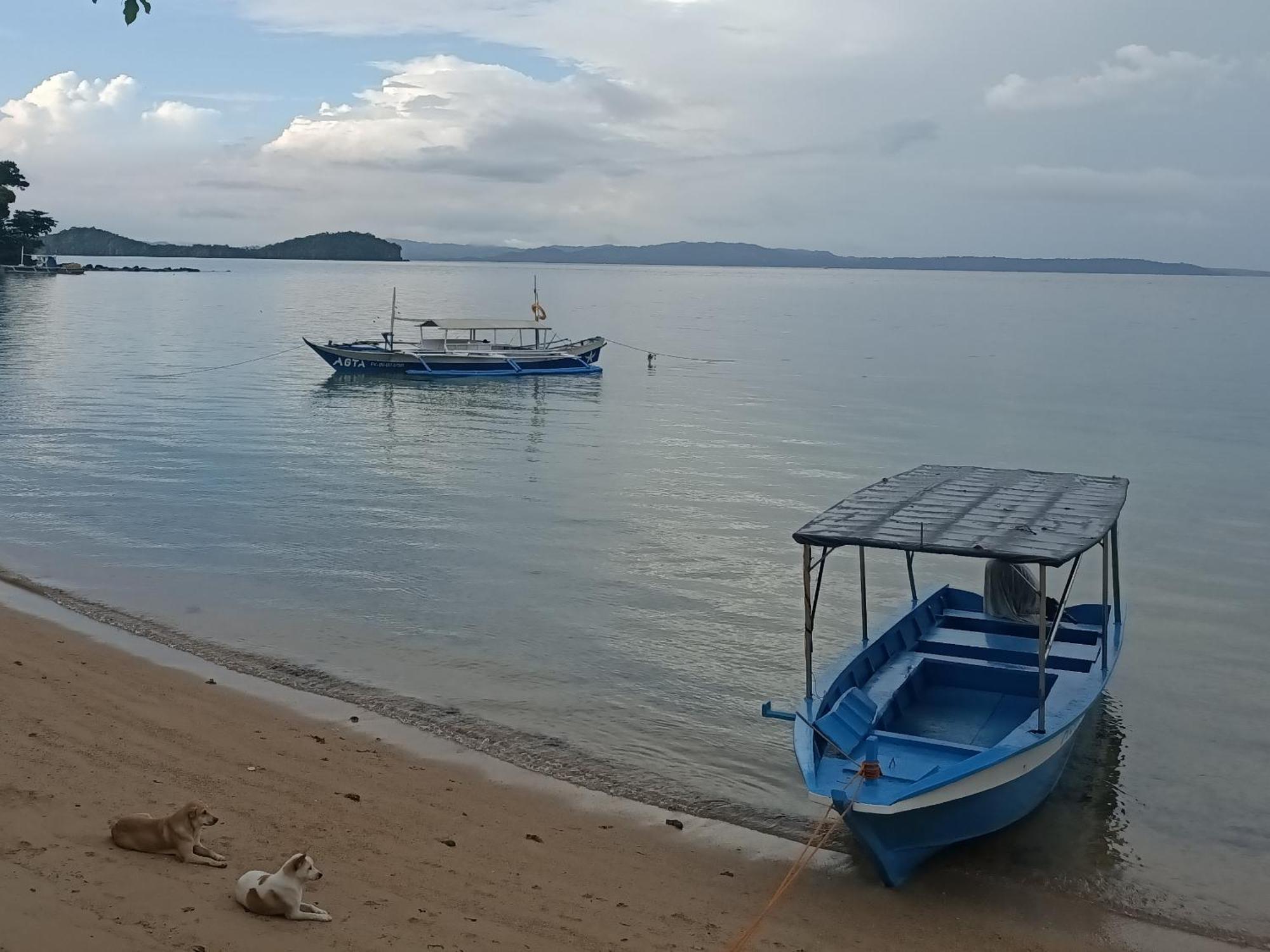 Agta Beach Resort Biliran Экстерьер фото